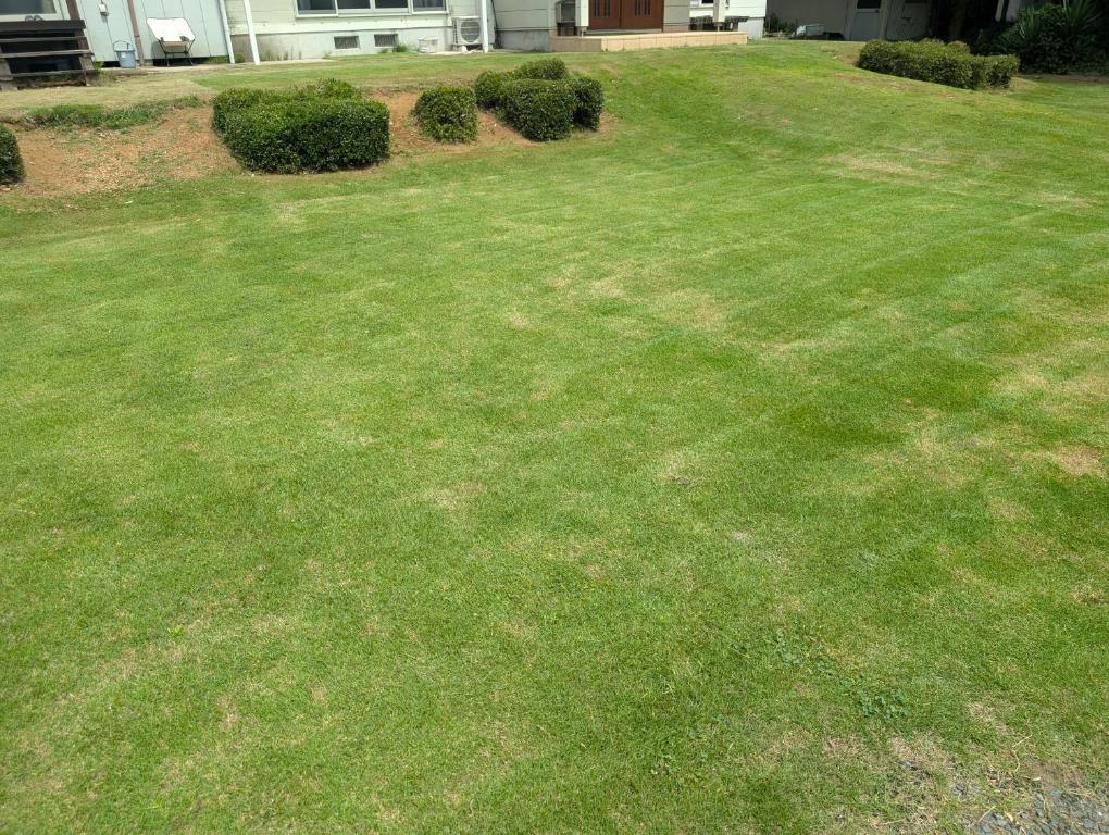 a yard with green grass and a house at Kenny's house in Joso