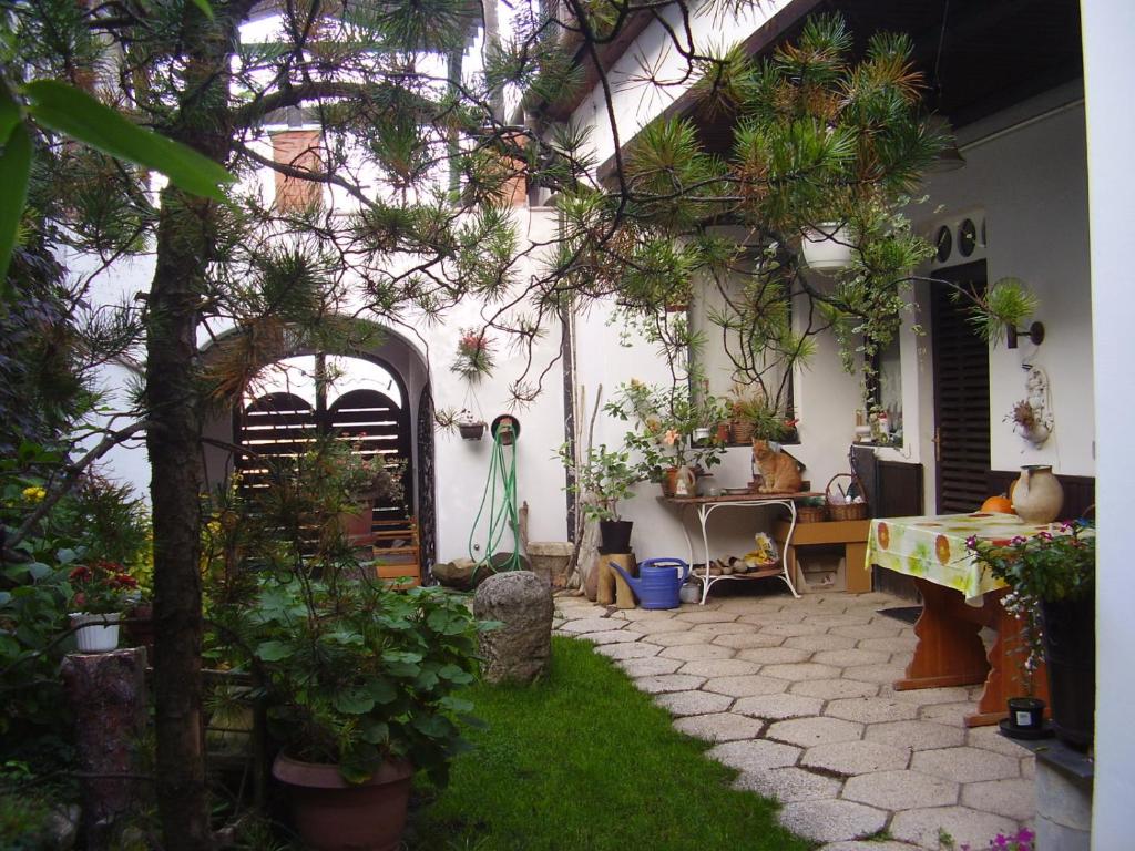 エゲルにあるSzent György Apartmanの家の中の植物とテーブルのあるパティオ
