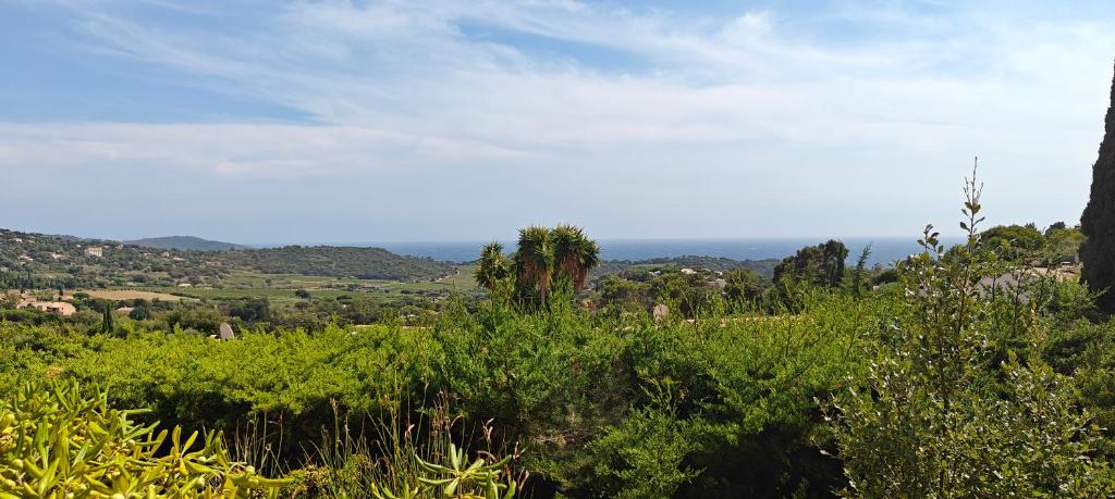 a view of a field with trees and bushes at Bella Vista Colline Valmer in La Croix-Valmer