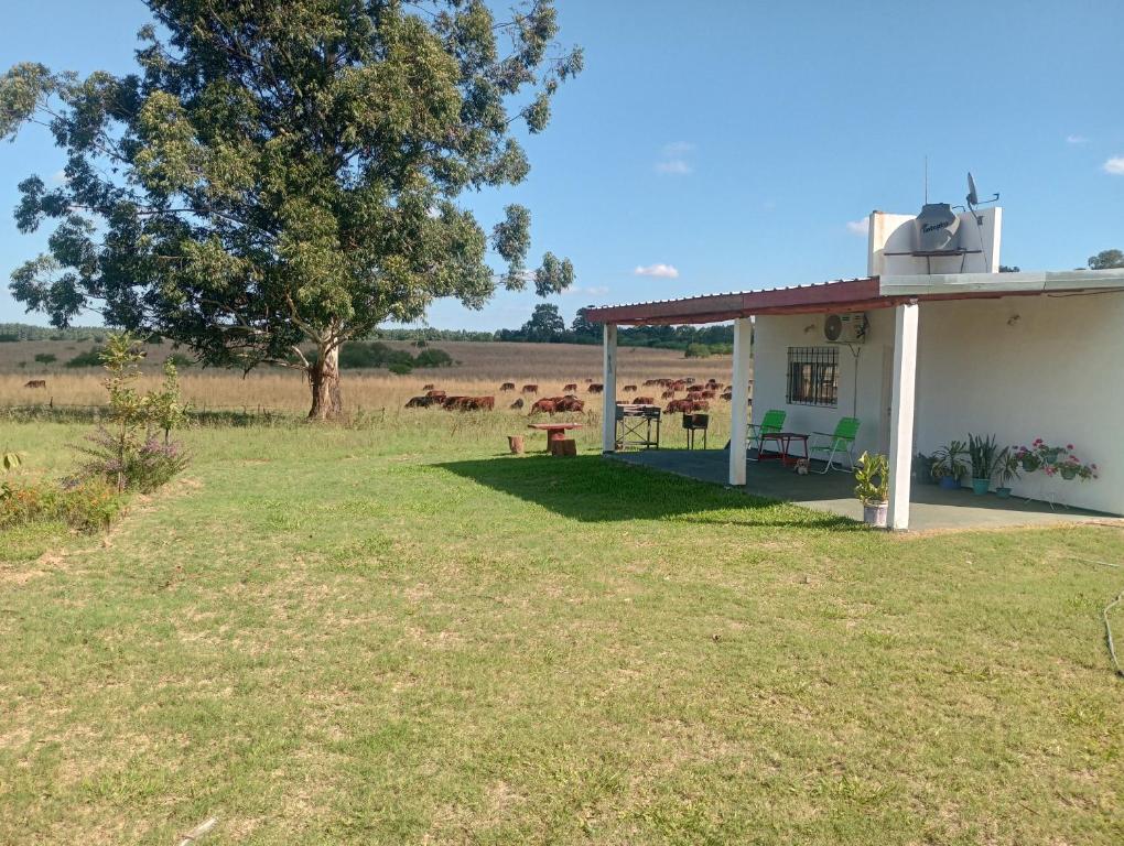 a white house with cattle in the field at Lo Pituco casa de campo in Federación