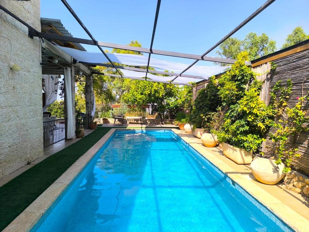 an outdoor swimming pool with a pergola over it at פינת נופש- סויטת הרימון עם בריכה פרטית - לזוגות בלבד in Rosh Pinna