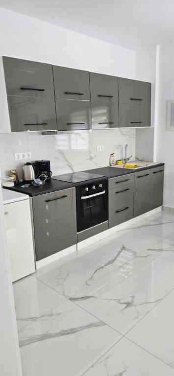a white kitchen with stainless steel appliances and gray cabinets at Casa Elia AXD in Alexandroupoli