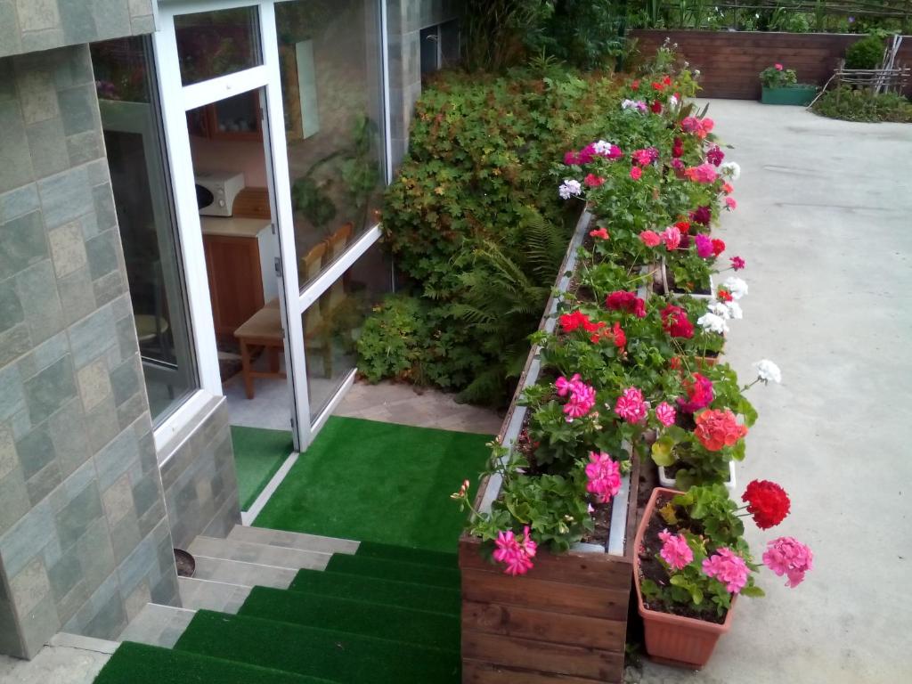 Zahrada ubytování Aleks Guest House