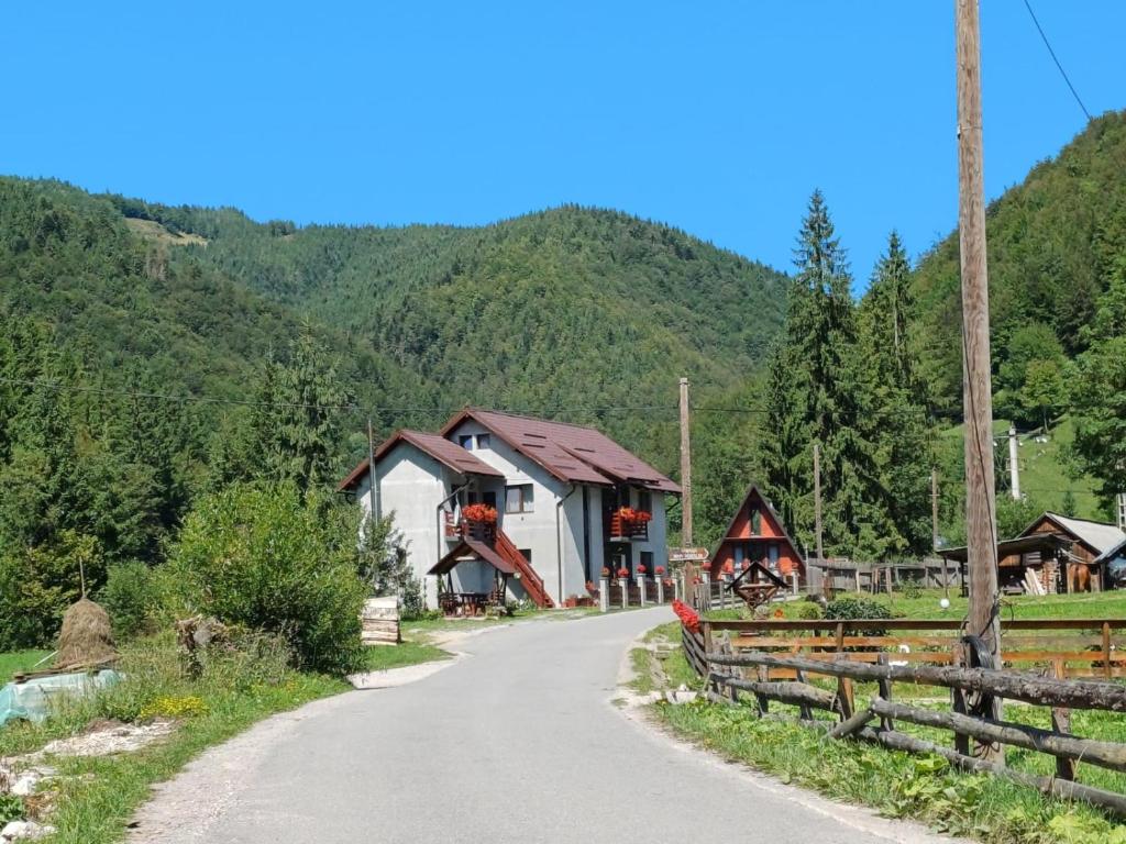 a house on a road with mountains in the background at Cabana Acasa la Delia in Gîrda de Sus