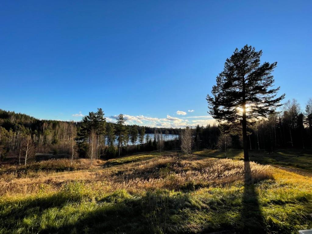 a tree in the middle of a field at Glamping tent in a forest, lake view in Bjuråker