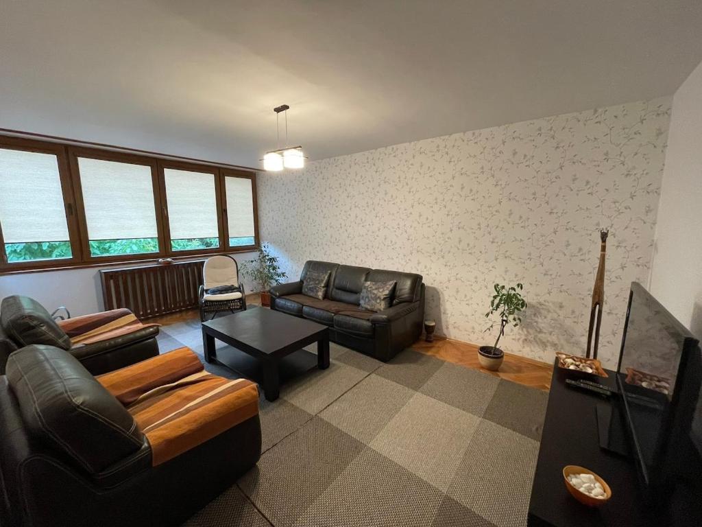 a living room with a couch and a table at Lovely entire apartment in Cugir in Cugir