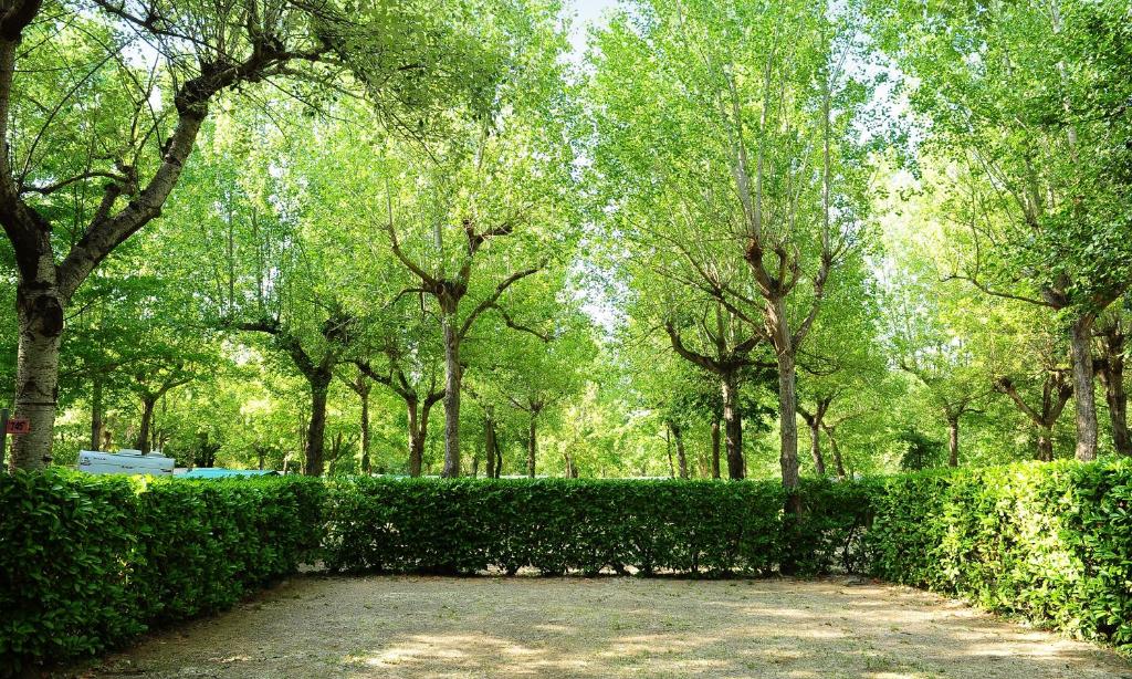 Parco delle Piscine - Error