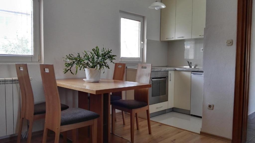 a kitchen with a wooden table and chairs with a plant on it at Apartments Foco in Sarajevo