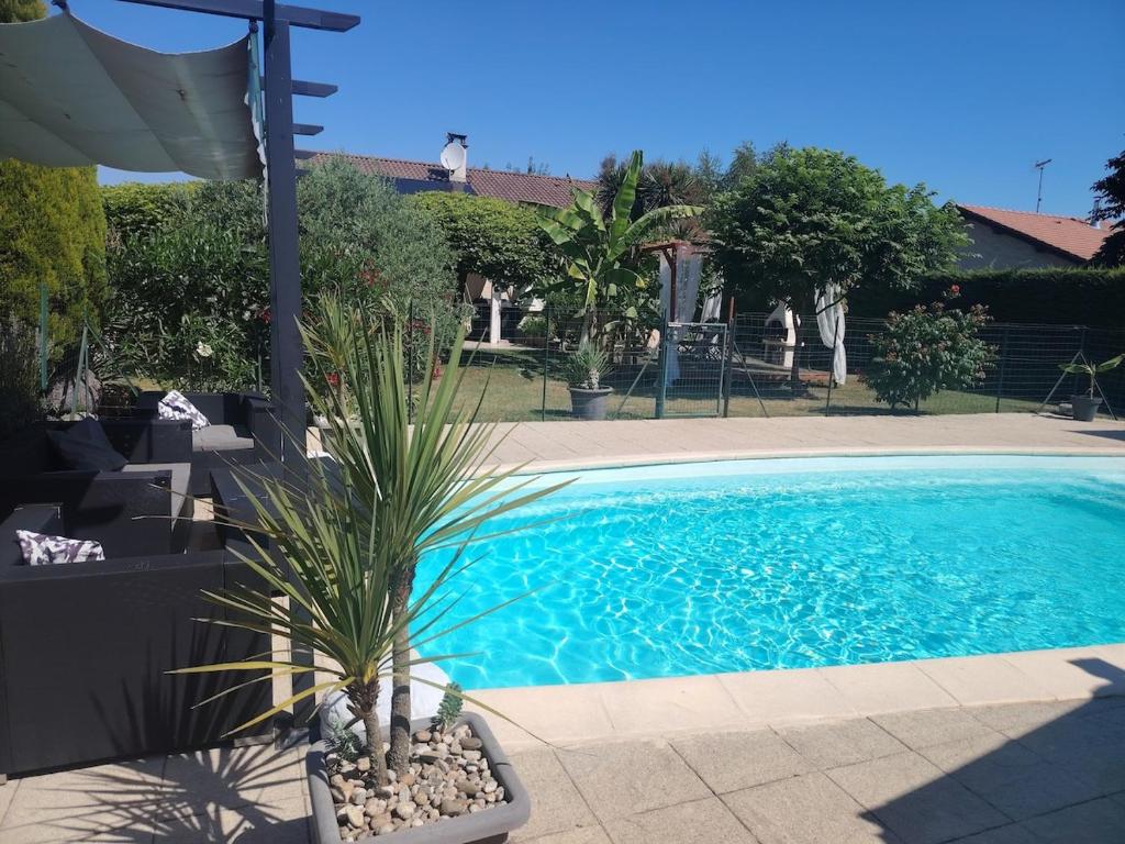 una piscina con una palmera al lado en Charming quiet studio with pool, 