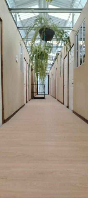 Casa de Huéspedes Noche de Luna