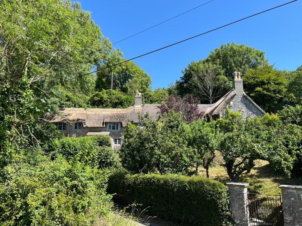 En have udenfor Purbeck - Dorset, Idyllic 4 Bed Thatched Cottage