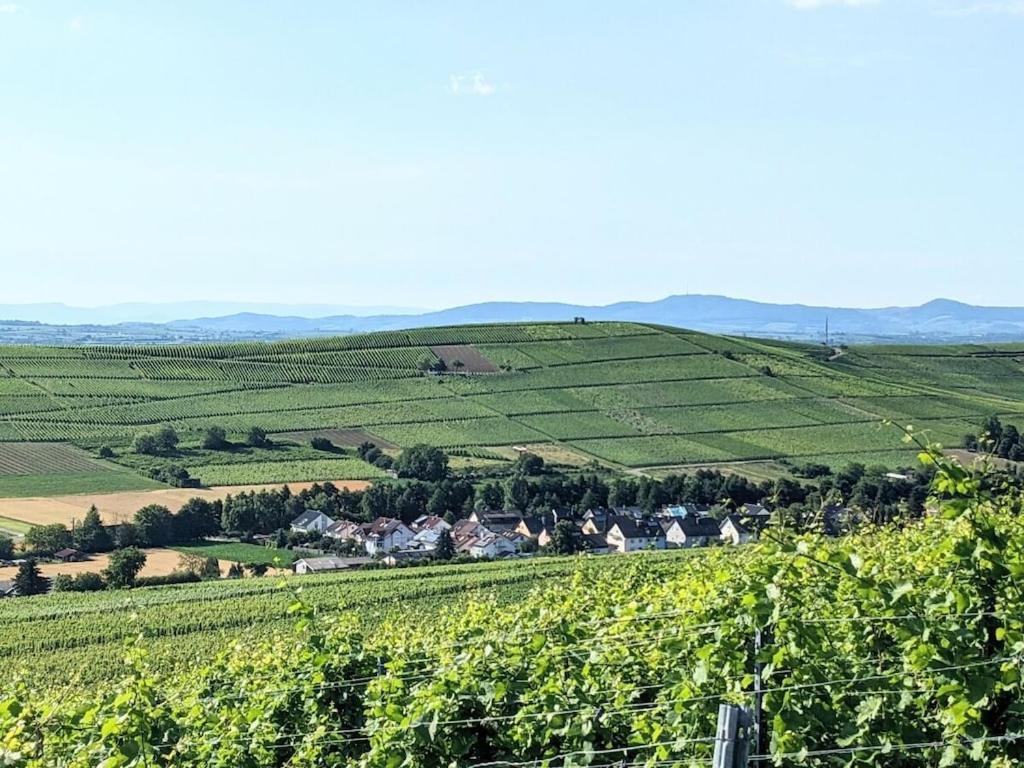 a view of a vineyard from a hill with houses at Holiday Home in Pfaffenweiler in Pfaffenweiler