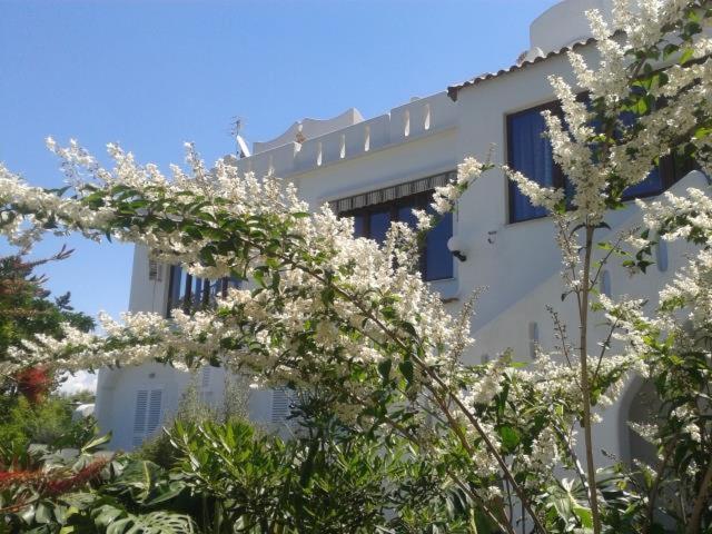Giardino di Hotel Parco Conte