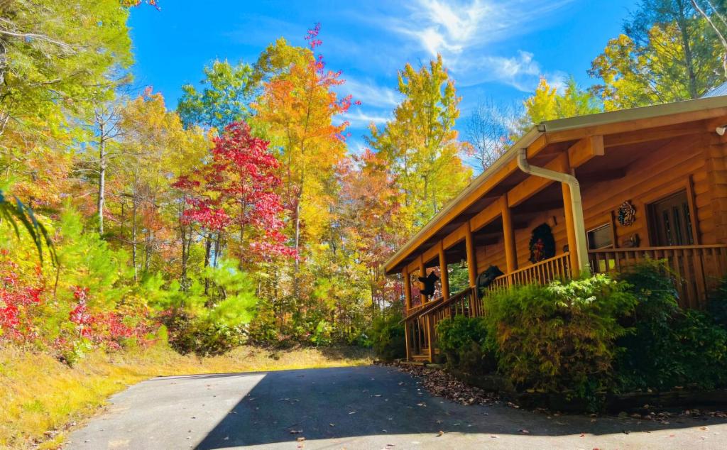 a cabin in the woods with fall foliage at Perfectlocation,PerfectviewsforTwo,Indoor Jacuzzi,hottub,FreeticketstoDollywood,Anakeesta,&More in Gatlinburg