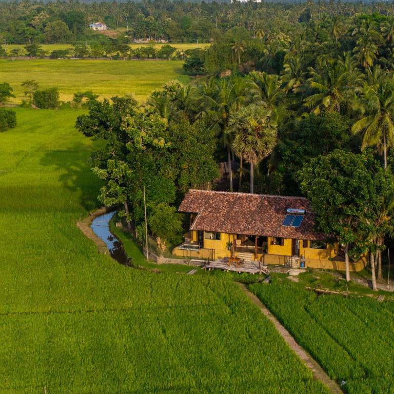 an aerial view of a house in a rice field at Kirindi Paddy Isle - Boutique Villa in Negombo