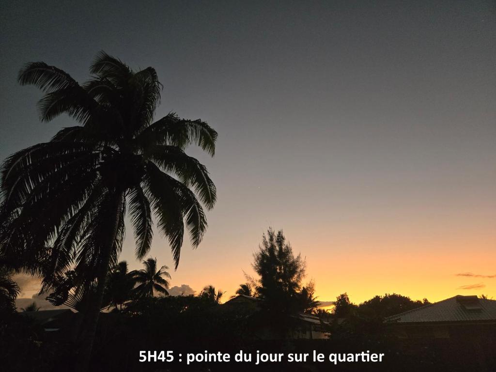 Hei Hei - photo 4 - Moorea, Polynésie