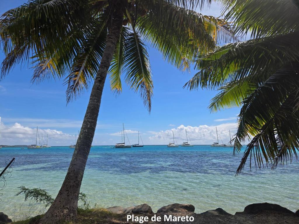 Hei Hei - photo 7 - Moorea, Polynésie