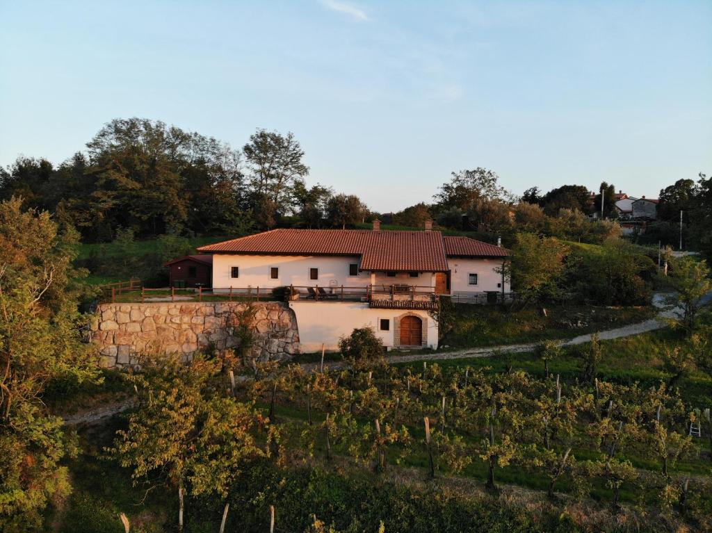 a house on a hill with a vineyard at Karol-ina Estate in Branik