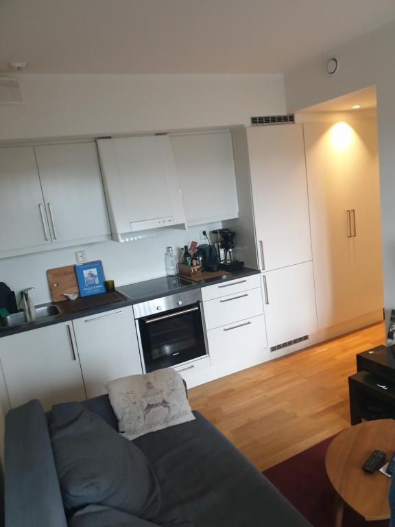 Η κουζίνα ή μικρή κουζίνα στο Modern apartment