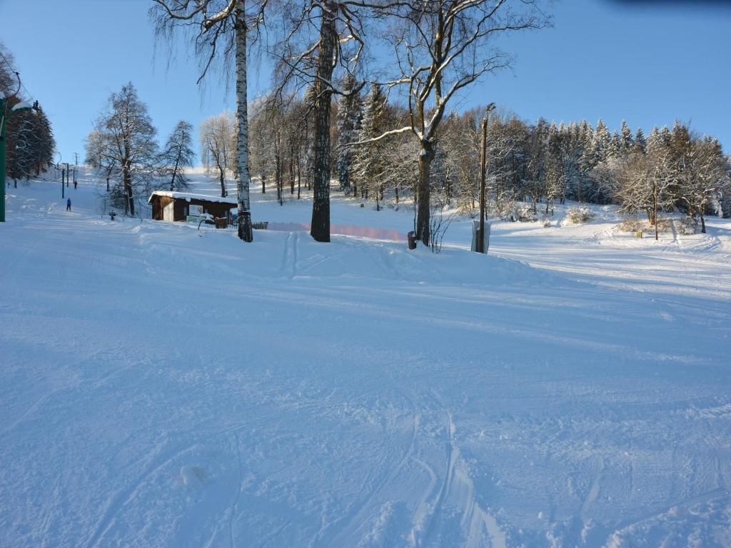 a snow covered field with trees and a building at Chalet in Malá Skála near Ski Slopes in Malá Skála