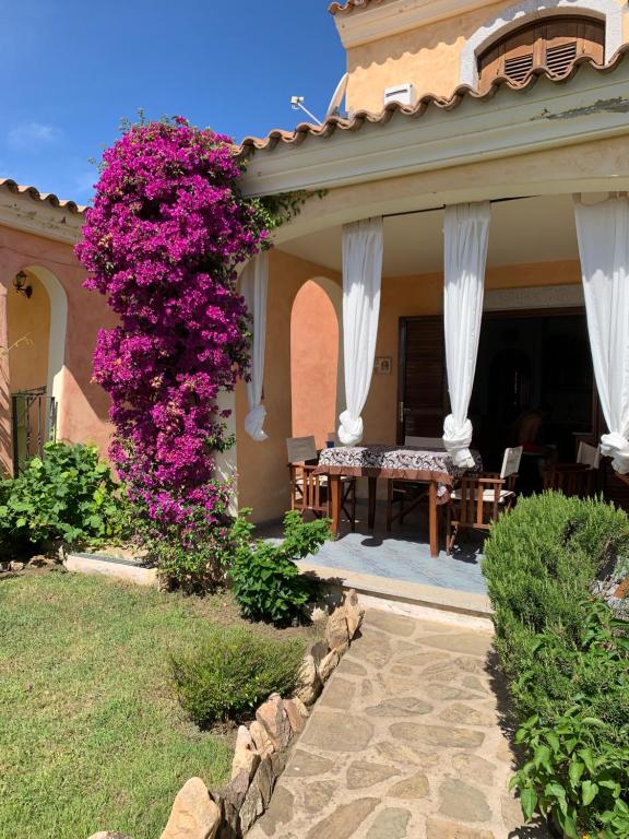 Zahrada ubytování Sardegna colori e profumi