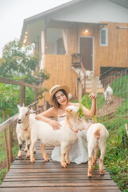 a woman standing on a bridge with goats at Kirin Farm in Chiang Mai
