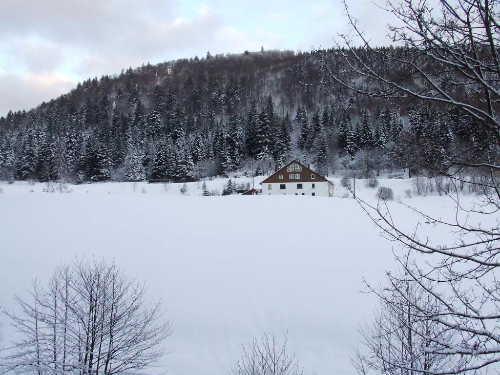 Domaine Des Hauts Viaux v zimě