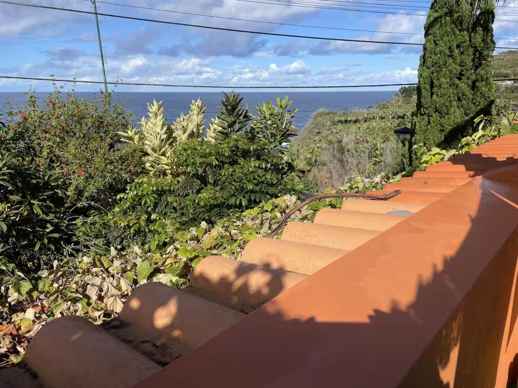 eine Treppe mit Meerblick in der Unterkunft Casadarvore in Ponta Delgada