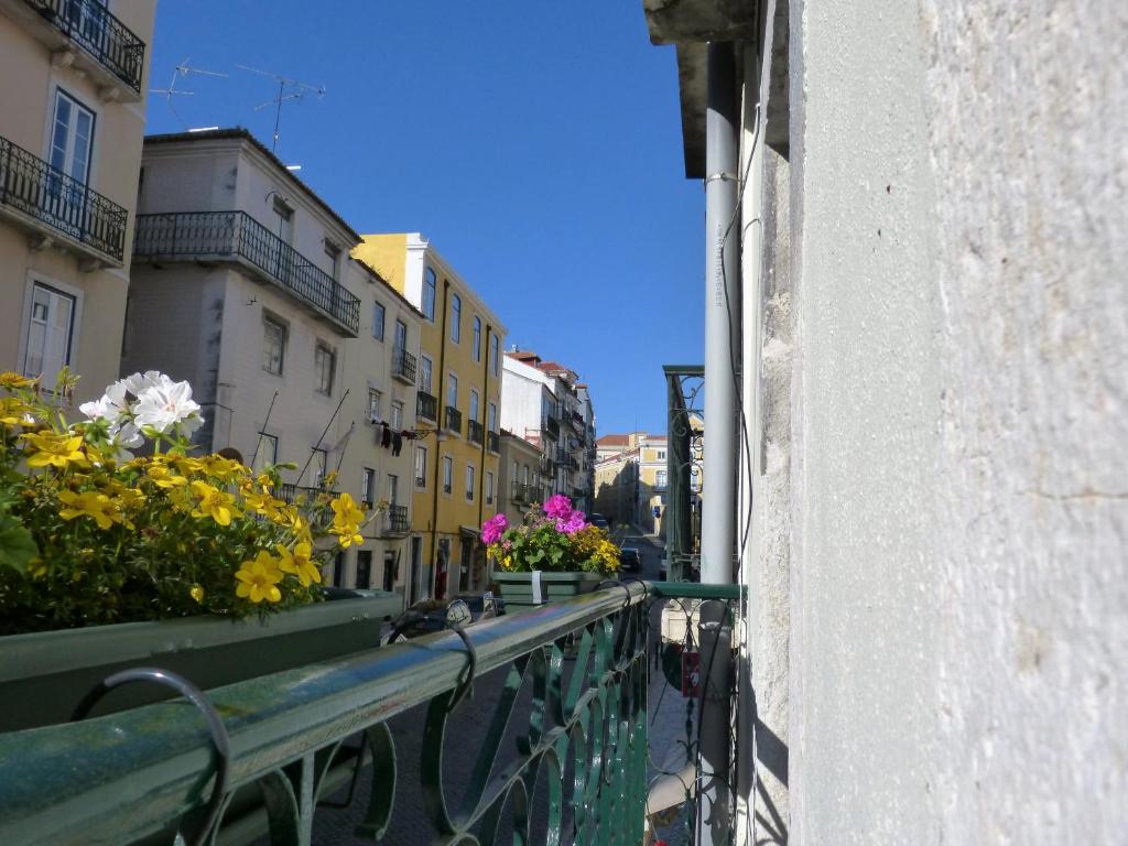 Discover Alfama