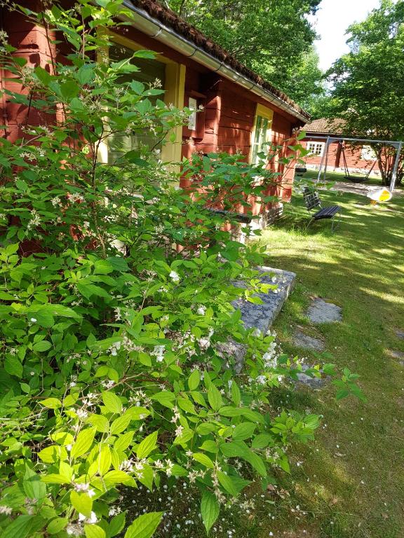 Zahrada ubytování Tranås Vandrarhem