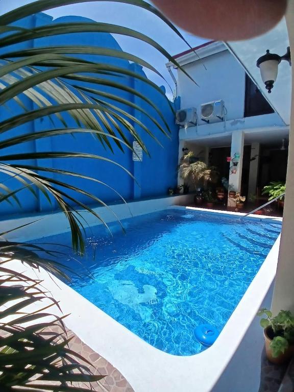 a blue swimming pool with a palm tree next to it at Hotel El Internacional in Granada