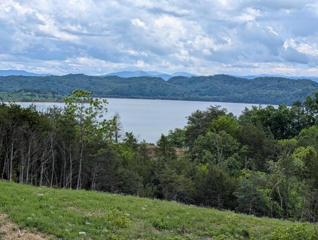 Blick auf einen See von einem Hügel mit Bäumen in der Unterkunft Lake & Mountain Views every room in the house! in Dandridge