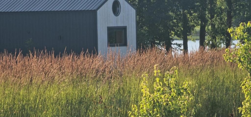a barn in the middle of a field of tall grass at Lake Garden Villa in Sadžiūnai
