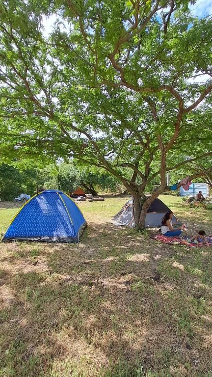 a blue tent under a tree in a field at Eco Camping Las Penitas in Las Peñitas