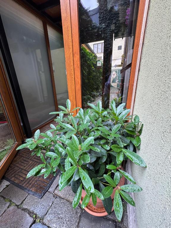 Lucas 10 Apartments - Resim 20