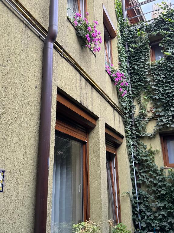 Lucas 10 Apartments - Resim 38