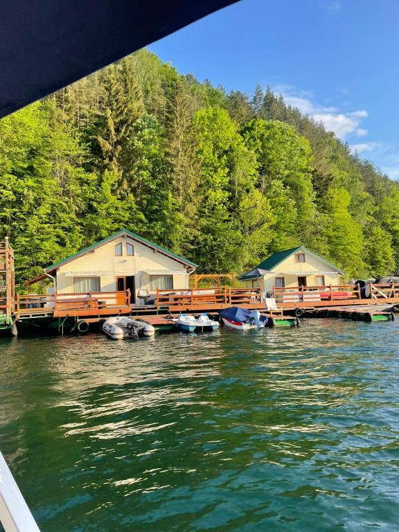 a group of houses on a dock on a body of water at VILLAGEbythelake Bicaz in Bicaz