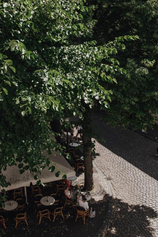 Boutique Hotel Stella Maris - Resim 45