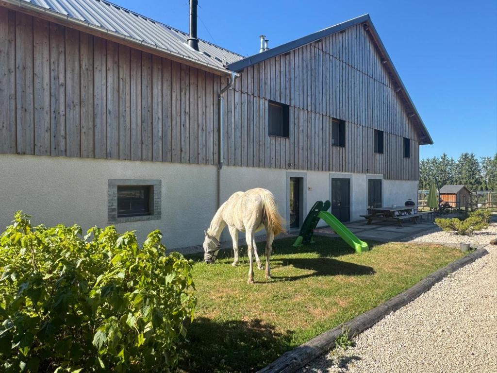 a white horse eating grass in front of a building at Les Bouloies - 2 gites familiaux l'Eden et les Saules - in Laviron