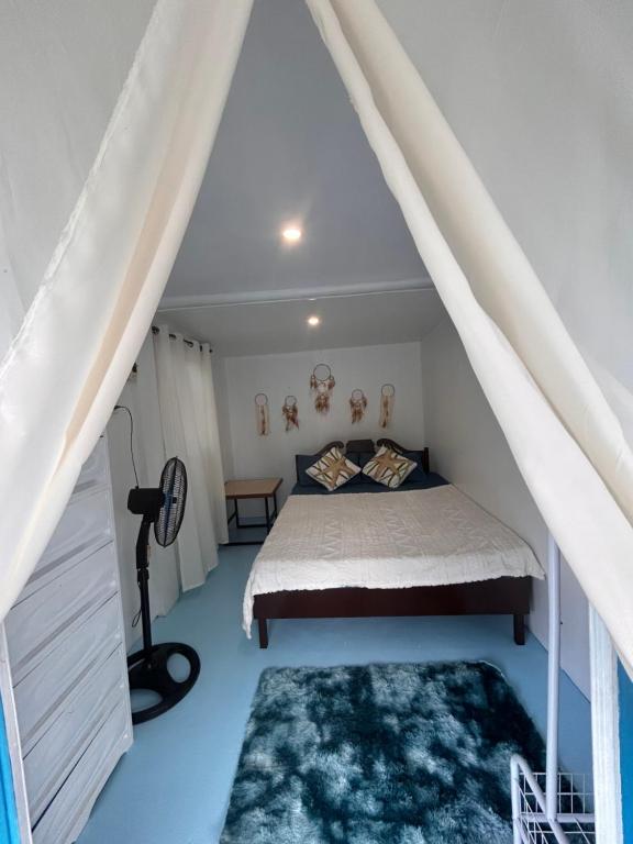 a bedroom with a bed and carpeted floors at Barracuda Swim Club's Homestay - Fan Room with Pool in Coron