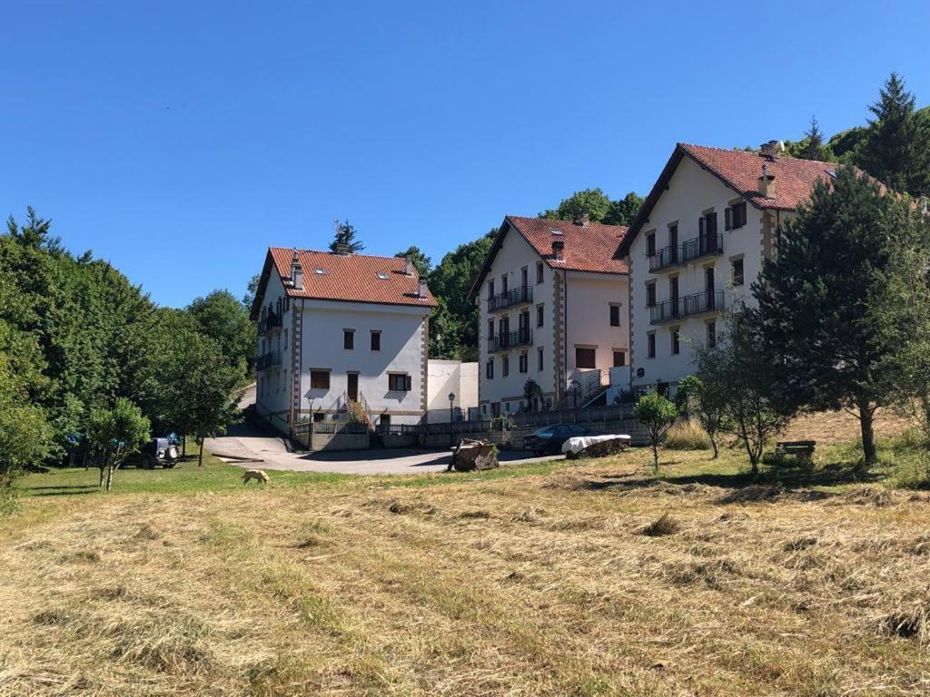 a group of buildings in a field with trees at Retaetxe in Orbaiceta