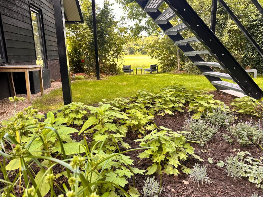 a garden with some plants and a bridge at Natuurlijk op den Berg in Rekken