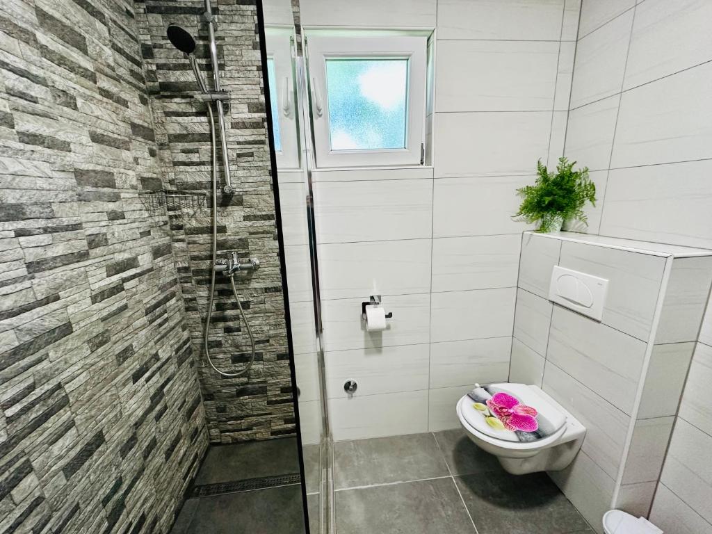 Apartments Celopek - 9