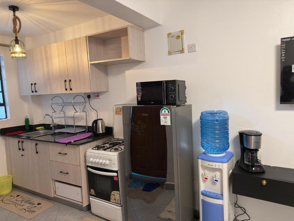 Kuchyň nebo kuchyňský kout v ubytování Amazia apartment