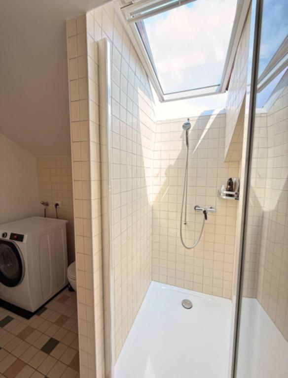 Lake View Cozy Rooftop Flat Lausanne Centre - Resim 3