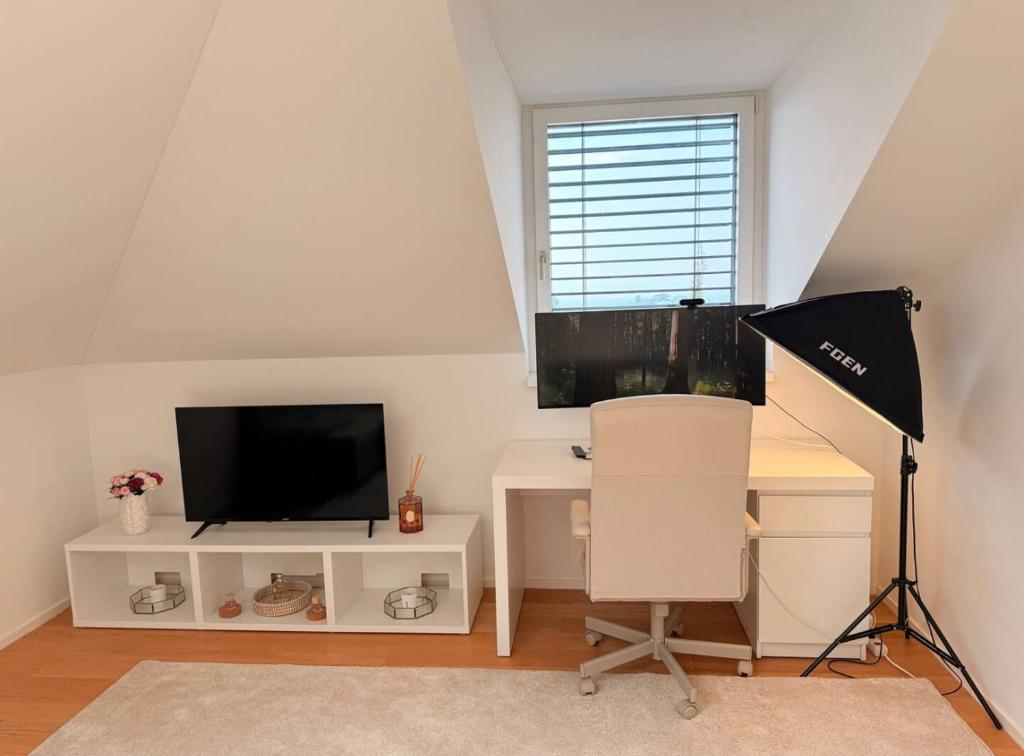 Lake View Cozy Rooftop Flat Lausanne Centre - Resim 9