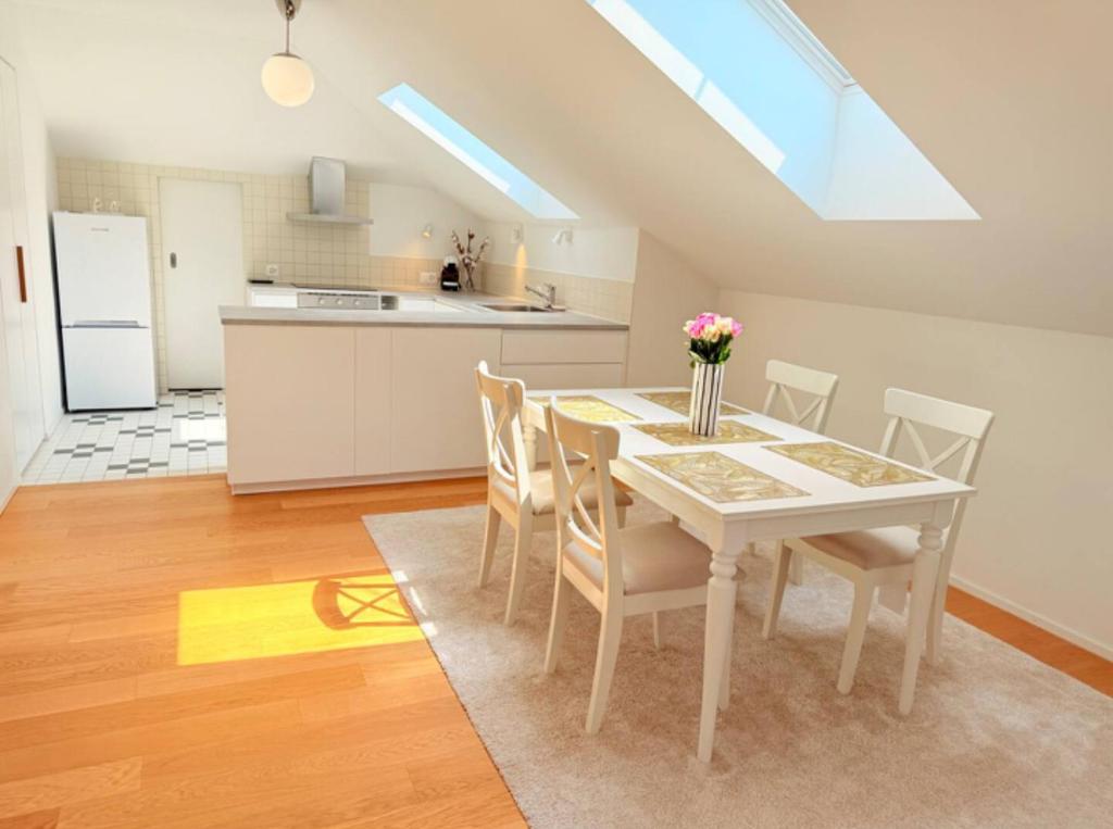 Lake View Cozy Rooftop Flat Lausanne Centre - Resim 10