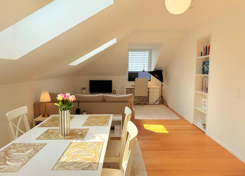 Lake View Cozy Rooftop Flat Lausanne Centre - Resim 5