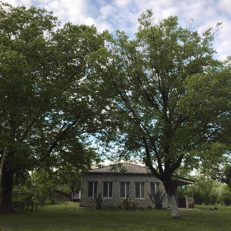 Κήπος έξω από το ELENA HOUSE kONTUATI