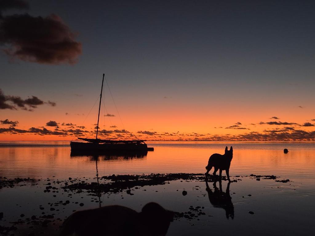 Fare Tokoau Moorea, Moorea - photo 10 - Moorea, Polynésie